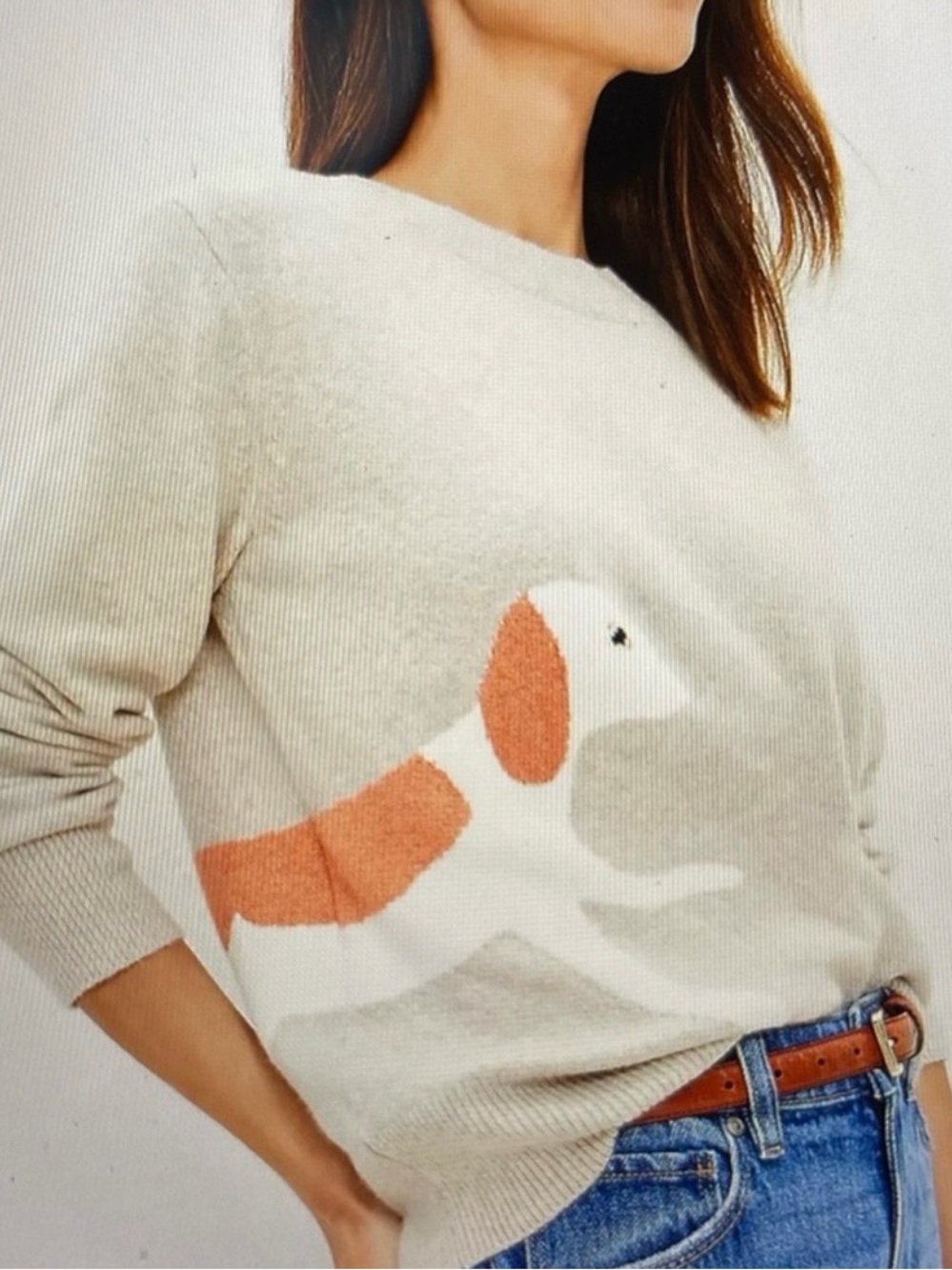 NWT Ann Taylor LOFT Dog Walker Crewneck Sweater - Picture 2 of 9